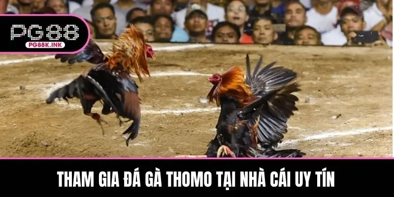 Thành viên cần lựa chọn nhà cái uy tín để tham gia đấu kê online